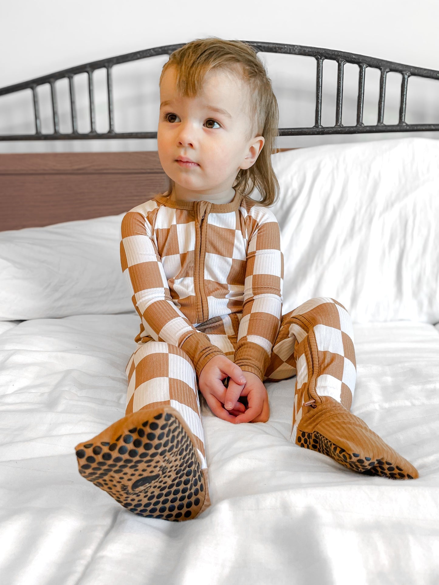Camel Checks Zippy