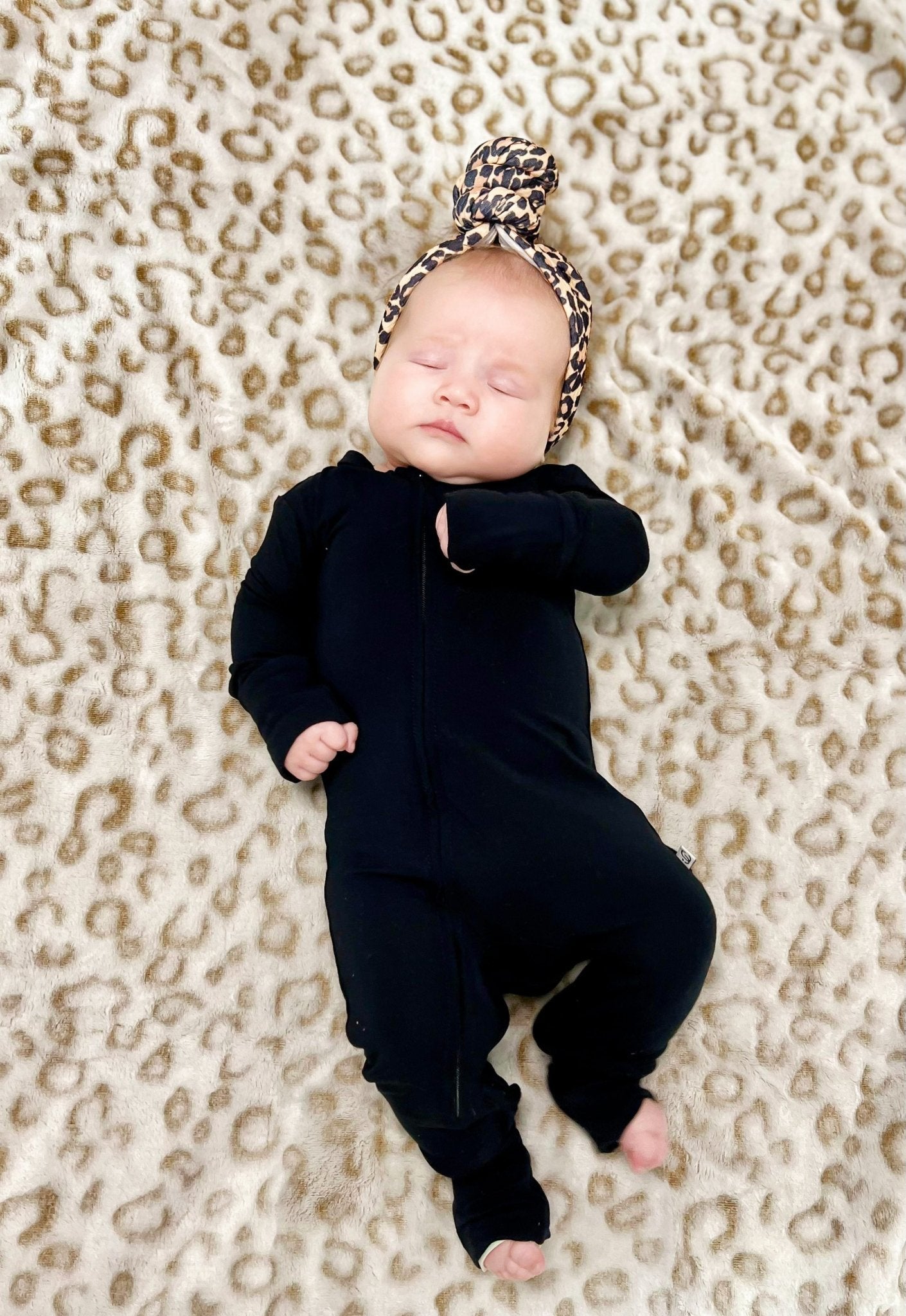 Zippy - Jett Black