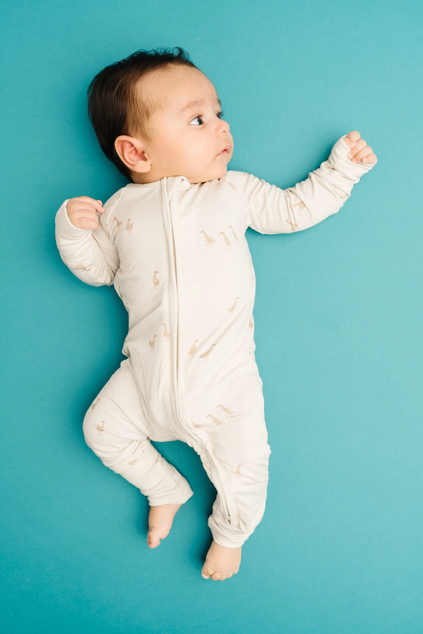 Little One Shop: Silly Goose Bamboo Zippy Romper